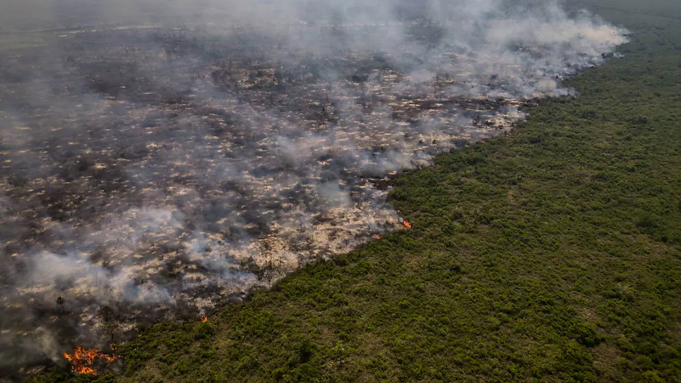 L'incendio nel Pantanal ha provocato distruzioni mai viste