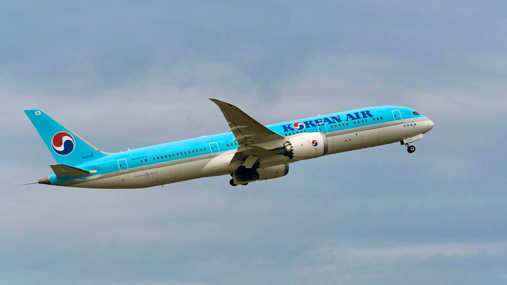 «Stiamo collaborando pienamente con le autorità competenti per chiarire le circostanze dell'incidente», ha dichiarato Korean Air (immagine d'illustrazione).