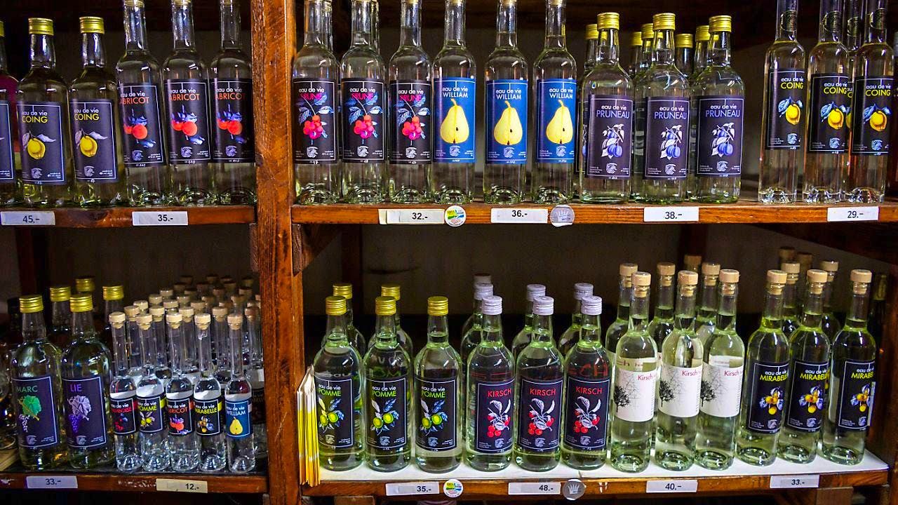 Knowledge. Alcohol habits are deeply rooted in cultures