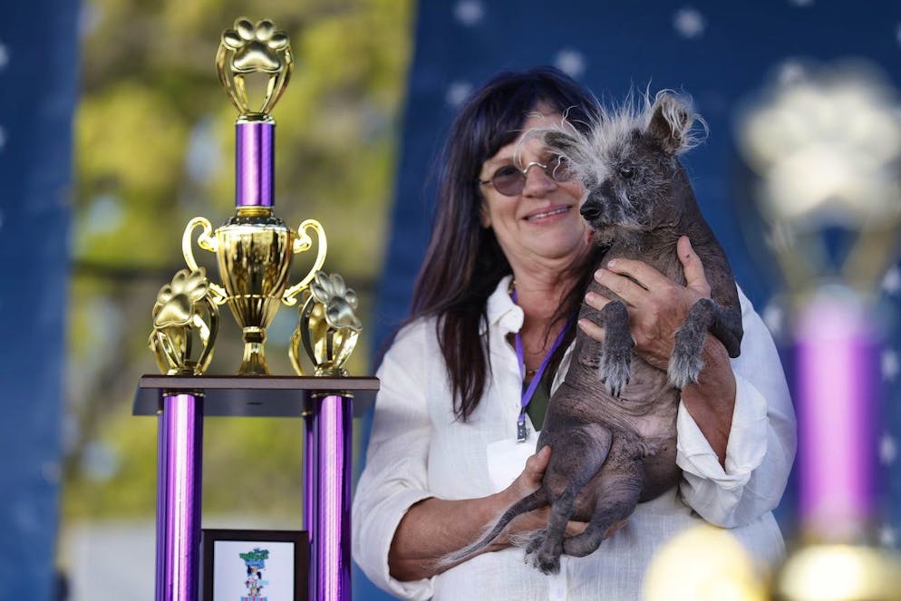 Scooter, der letztjährige Gewinner, mit seinem Siegerpokal. (EPA/JOHN G. MABANGLO)