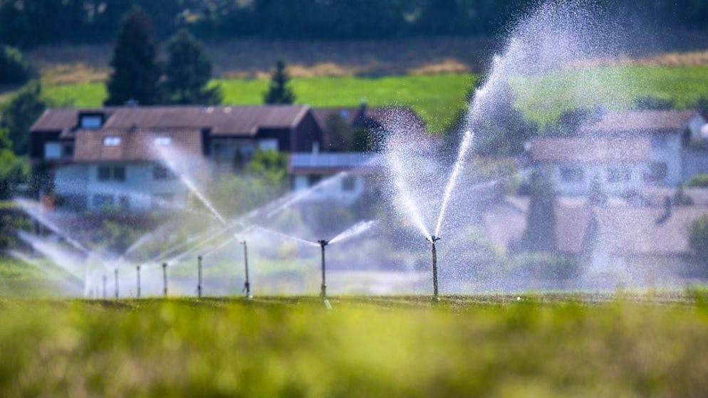 The sustainable use of water is becoming increasingly important in times of climate change. (symbolic image)