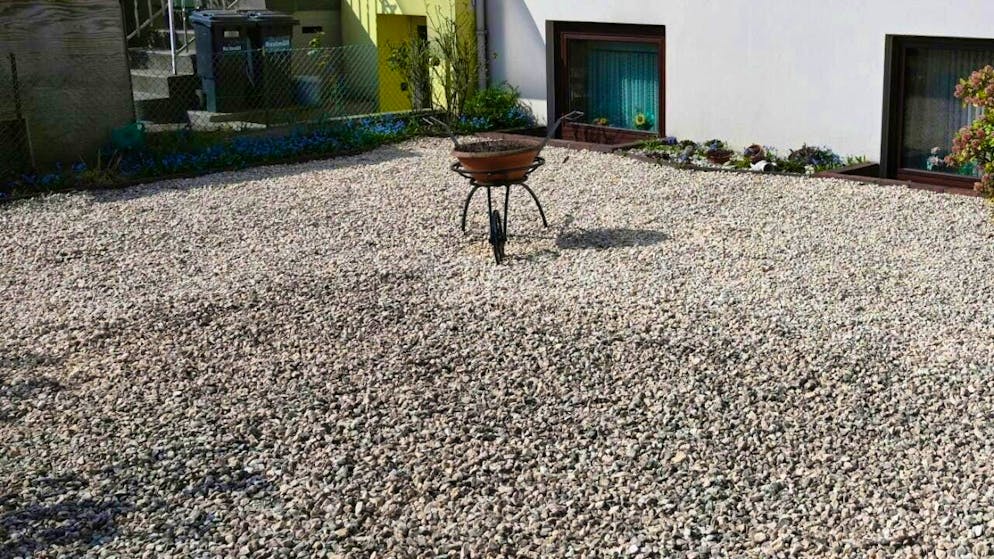 Lifeless gravel gardens are not good for the environment. However, the cantonal council of Aargau does not want to simply ban these gardens, but rather incorporate them into a concept for biodiverse open spaces. (symbolic image)