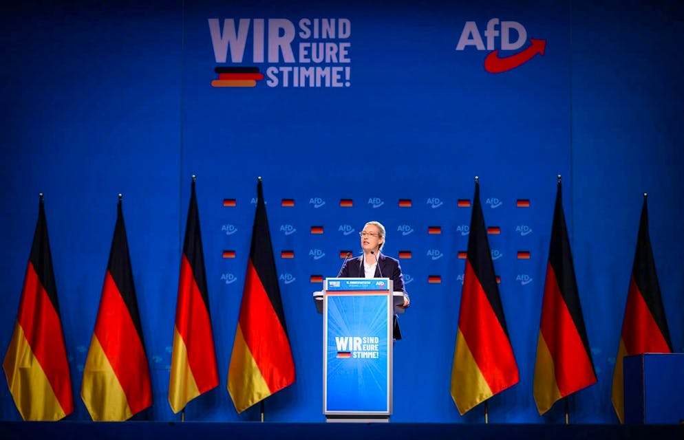 AfD leadership duo remains - Weidel wants to end