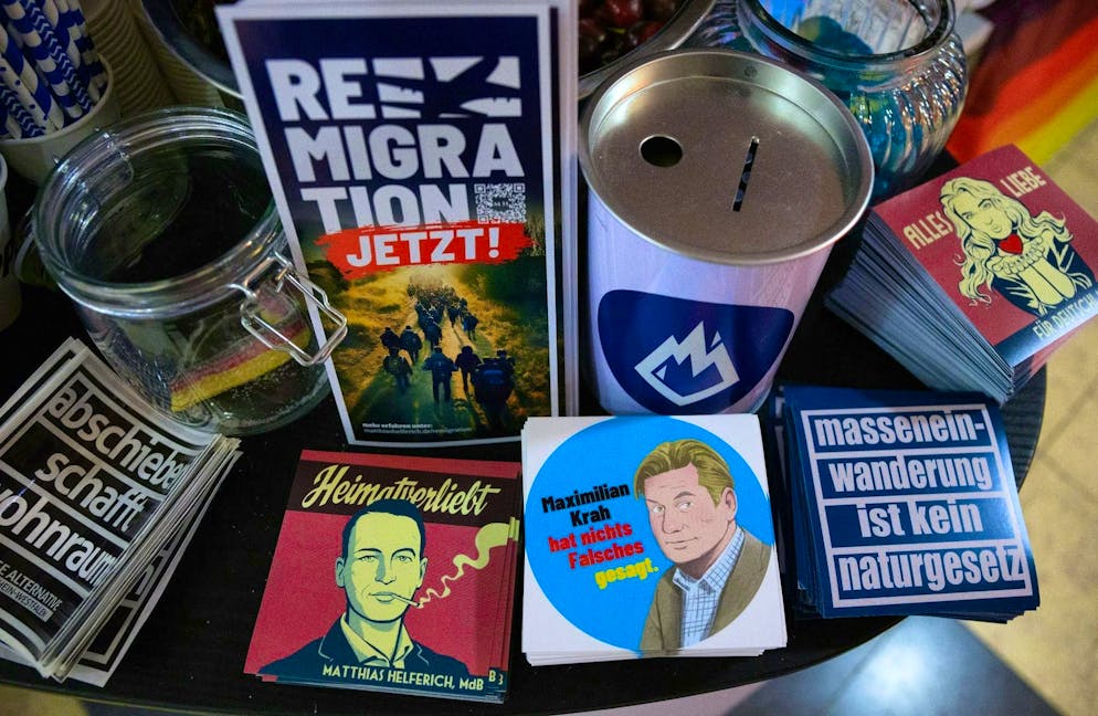 AfD leadership duo remains - Weidel wants to end