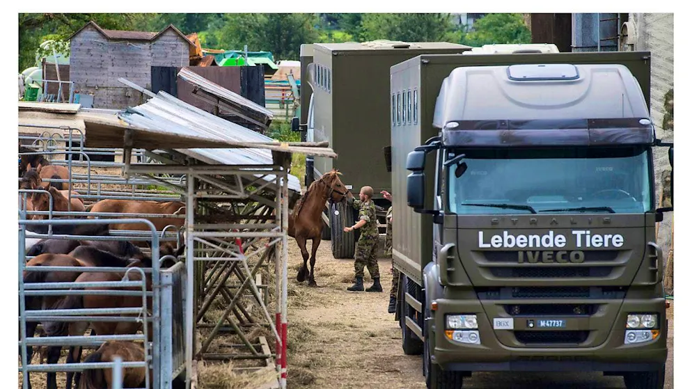 The farm in Hefenhofen was cleared in 2017. (archive image)