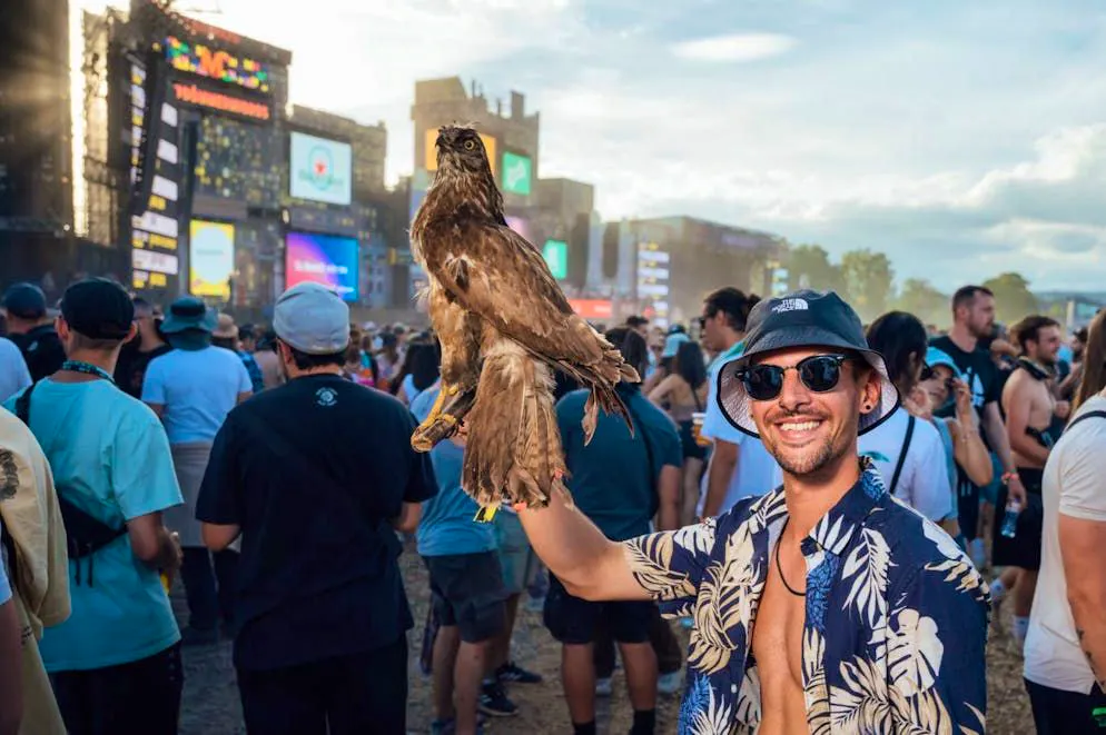 Openair Frauenfeld. The weirdest festival birds