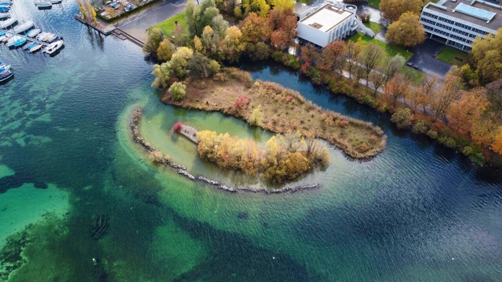 Die beiden Brutinseln vor der Kantonsschule Alpenquai sollen ökologisch aufgewertet werden.