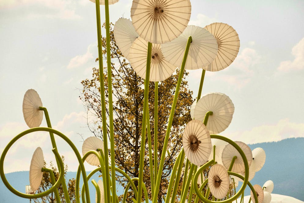 Paléo - the biggest and most beautiful open-air festival in Switzerland. The decoration, apart from the flowers, is ...
