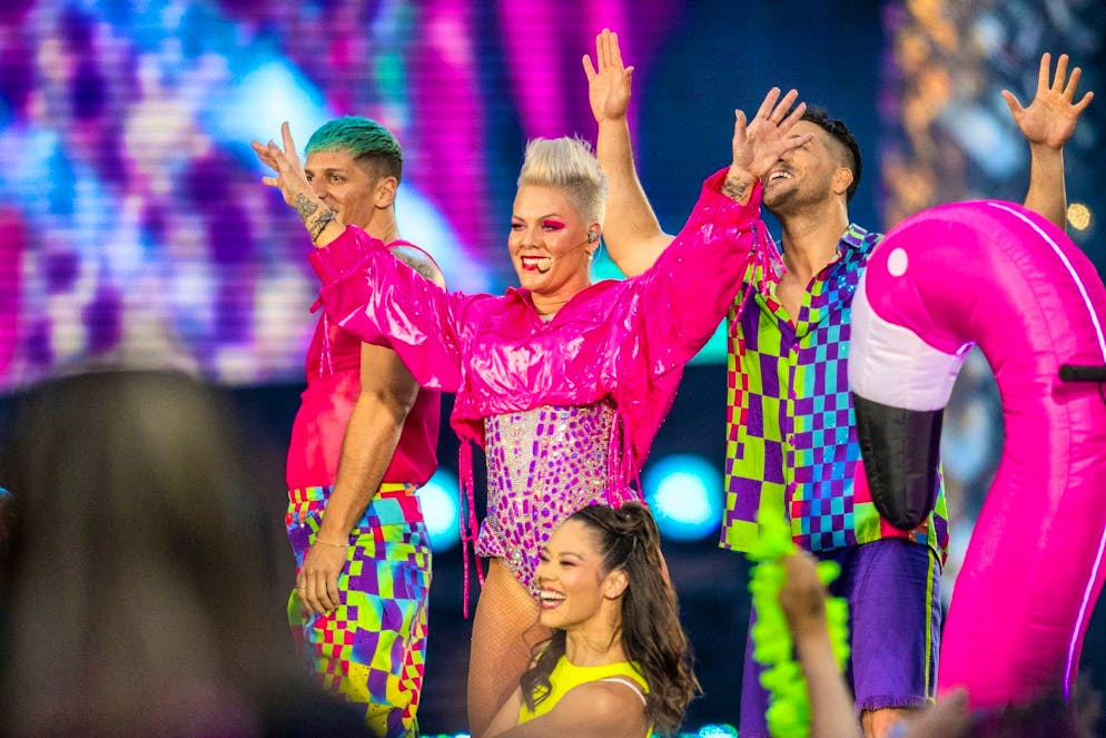 Before pop singer Pink scaled the pop Olympus with her music, she landed at the bottom.