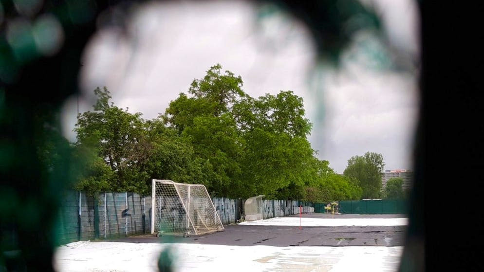 Das Trainingsfeld der ersten Mannschaft des FC Basel musste wegen eines drohenden Japankäfer-Befalls mit Plastikfolie abgedeckt werden und ist daher nicht benutzbar.