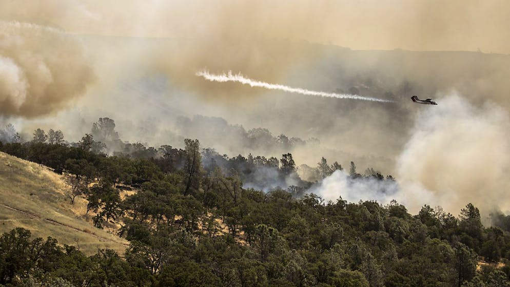 Les pompiers sont à pied d'oeuvre pour freiner l'incendie.
