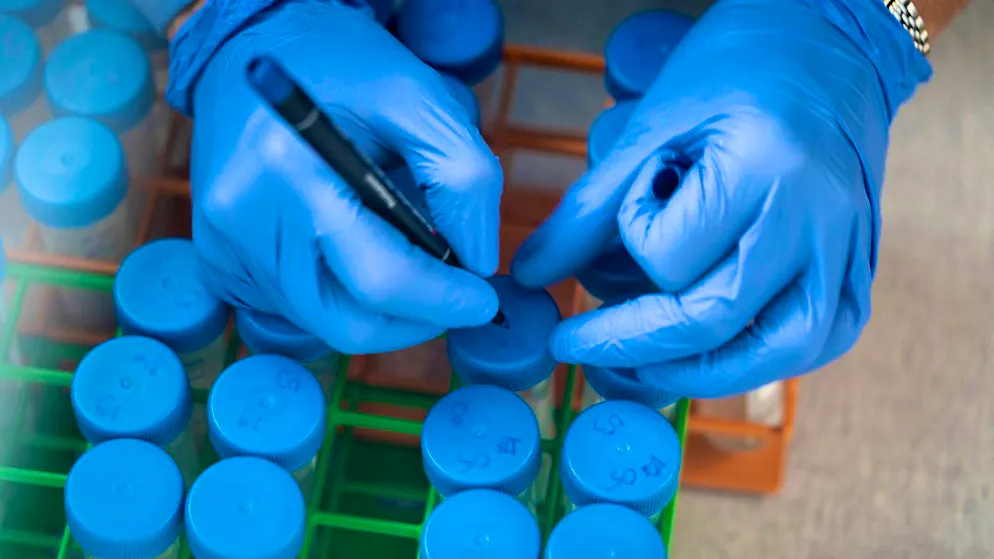 The AUE took a close look at the trace substances in the groundwater in Basel. (symbolic image)