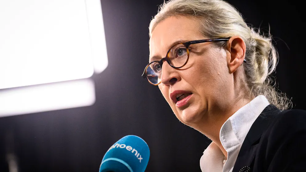 Kritik an «Doppelmoral». Polizeibesuch nach Beleidigung – AfD-Weidel zeigt besonders häufig an