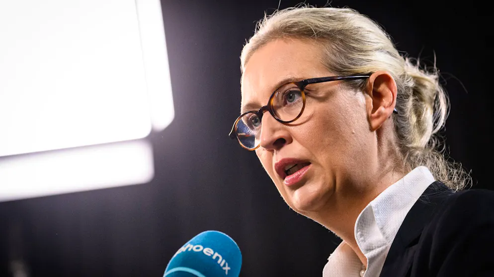 Die AfD kritisiert den Straftatbestand der Politikerbeleidigung – ihre Chefin stellt aber besonders oft Strafanträge wegen Beleidigung im Netz.