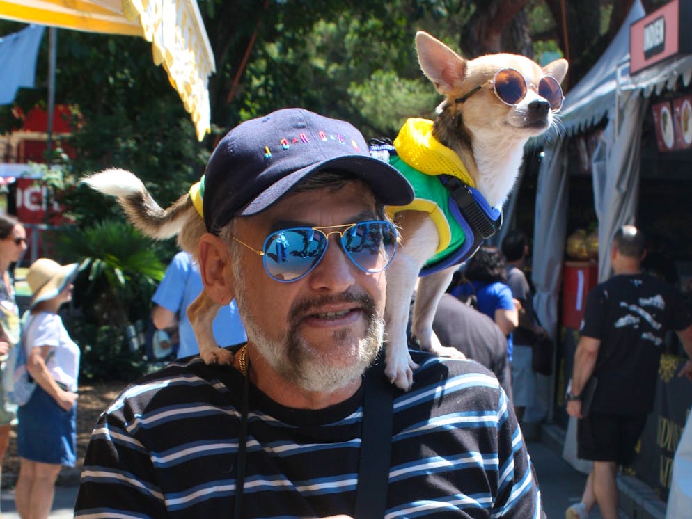 Chihuahua Max hat auf den Schultern seines Herrchens alles gut im Blick. 