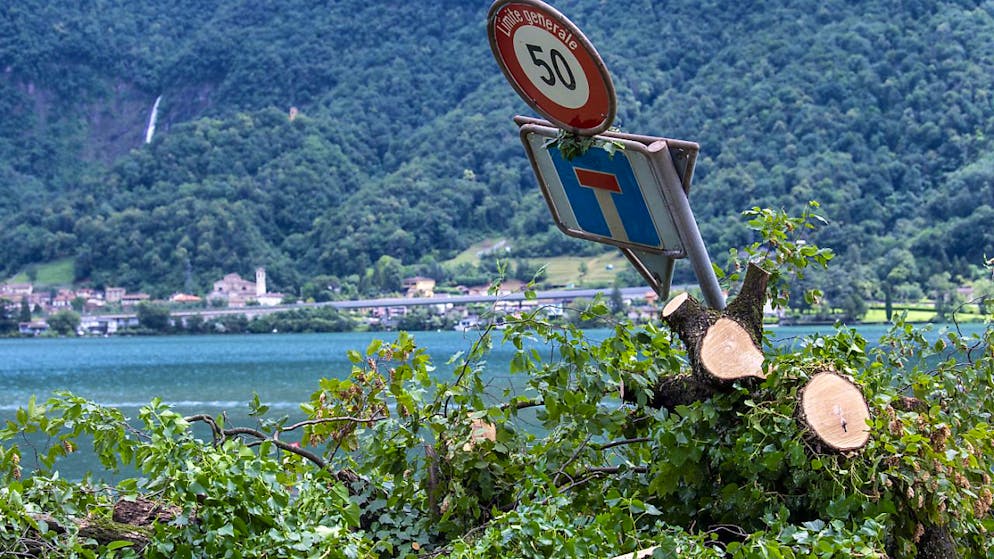 Gewitter fegen mit über 100 km/h über das Südtessin - Gallery. Ein umgeknicktes Verkehrsschild am Ufer des Luganersees in Riva San Vitale.
