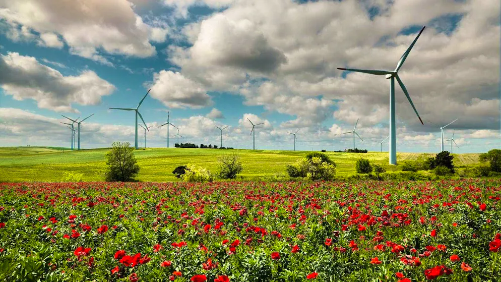 The Bernese energy group BKW is strengthening its portfolio of renewable energies.