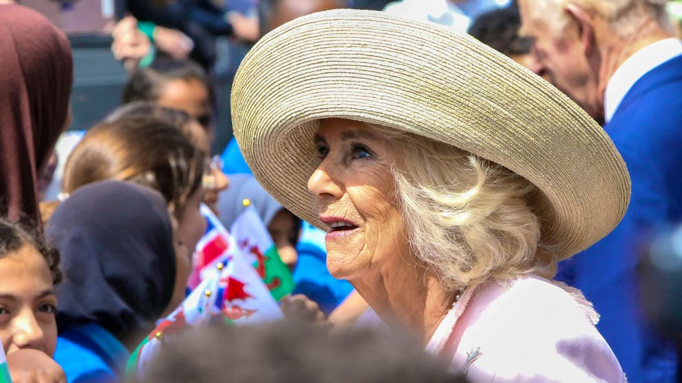 Ecco quanto guadagnano le regine. Rispetto al suo predecessore, il principe Filippo (marito della regina Elisabetta), Camilla non riceve più fondi dal Parlamento britannico, ma esiste un sussidio statale per l'intera famiglia reale. Nel 2022 il contributo ammontava a 96 milioni di franchi.