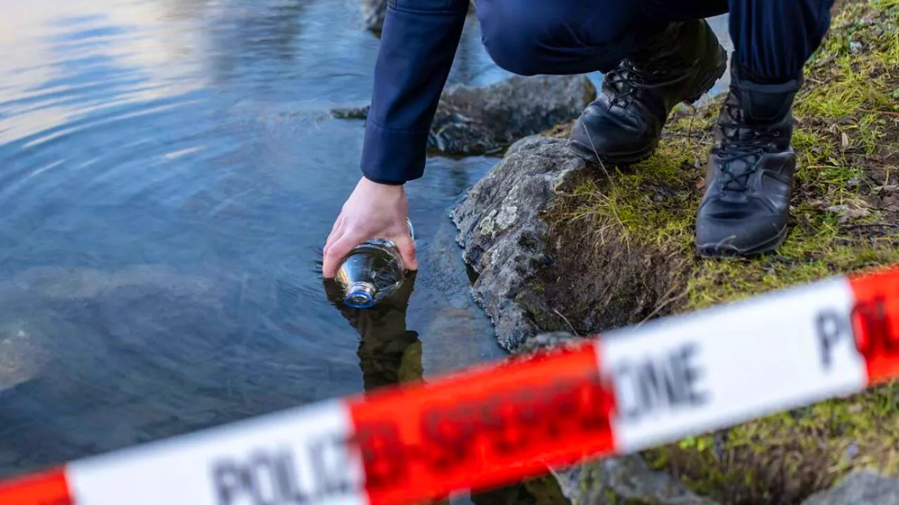 Umwelt. 20 tote Fische in Bach bei Lichtensteig SG gefunden