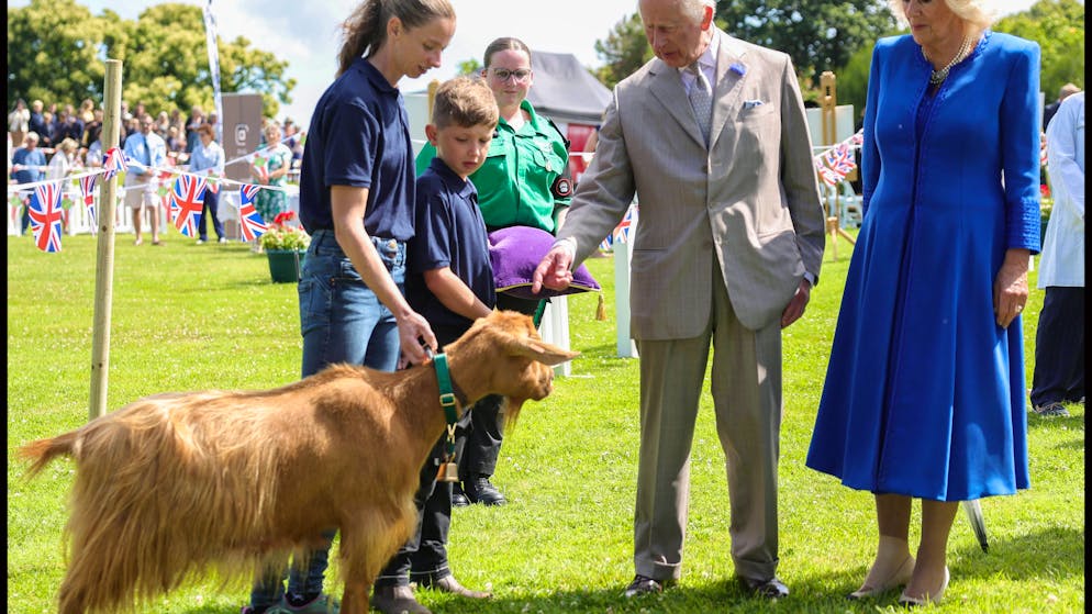 «Royal Golden Guernsey Goat». Charles verleiht seltener Ziege königlichen Titel