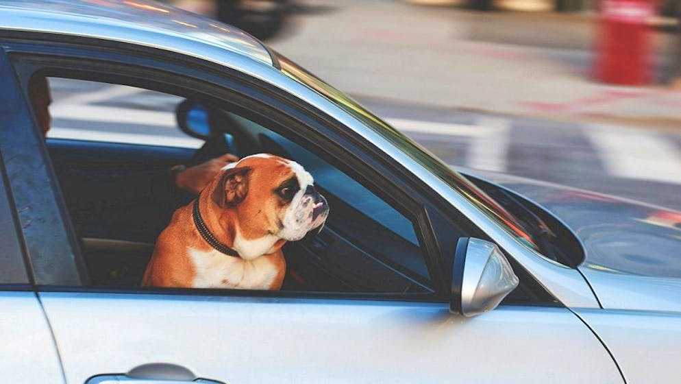 Wer die richtigen Lademöglichkeiten für E-Autos kennt, muss nicht lange auf dem Beifahrersitz warten.