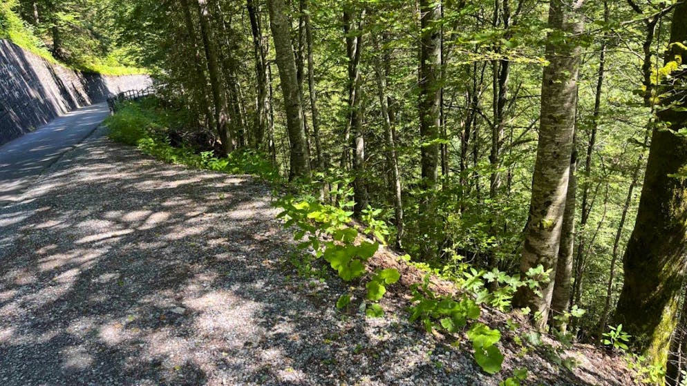 Der 64-jährige Velofahrer kam von einer Strasse ab und stürzte einen Hang hinunter.