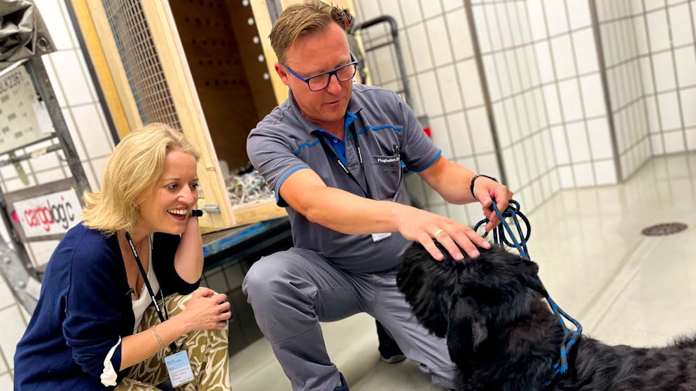 A visit to animal care at Zurich Airport. How animals fly with Swiss - a look behind the scenes