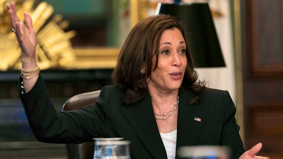 Kamala Harris against Donald Trump - does she stand a chance? - Gallery. US Vice President Kamala Harris wants to run against Republican frontrunner Donald Trump in the November election. (archive picture)