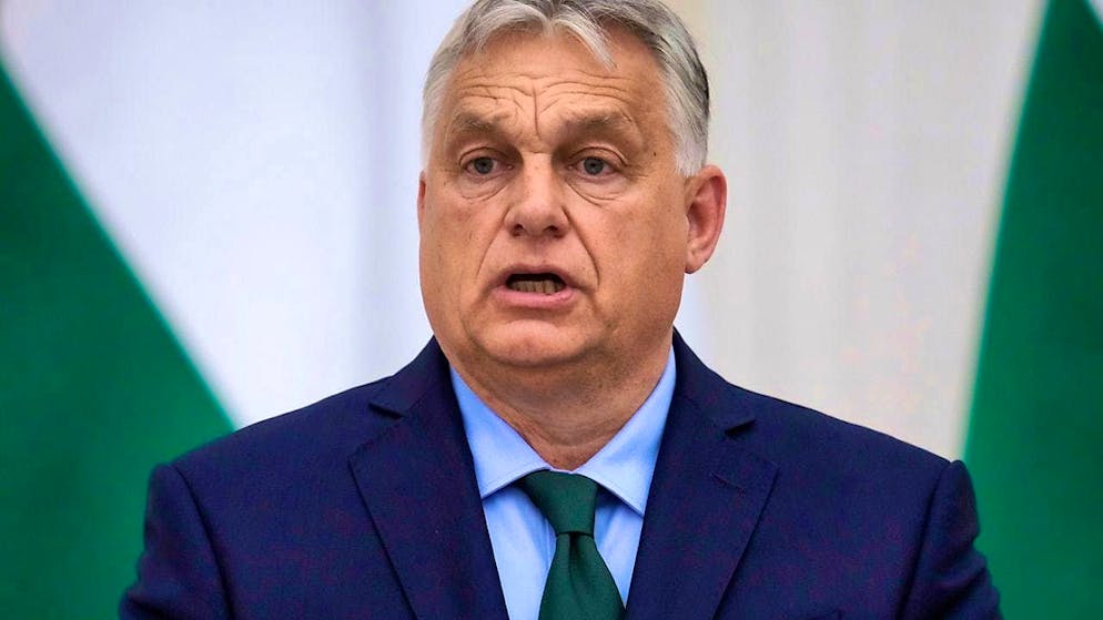 Europe: EU foreign ministers await debate on Orban trip | blue News