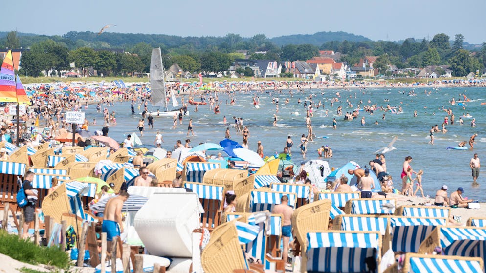 Surprise on vacation. This cause of death on the beach is more dangerous than a shark attack