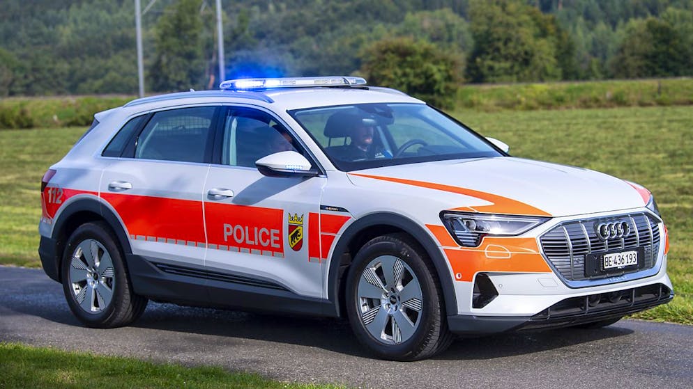 Incidente ferroviario mortale ieri ad Aarberg, nel cantone di Berna: uno svizzero 63enne  e due cani sono morti dopo essere stati travolti da un treno mentre passeggiavano lungo una strada forestale vicino ai binari (foto simbolica)