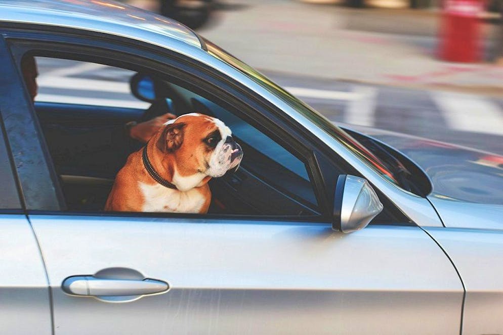 Connaître les bonnes possibilités de recharge pour les voitures électriques, c’est ne pas devoir attendre longtemps sur le siège du passager.