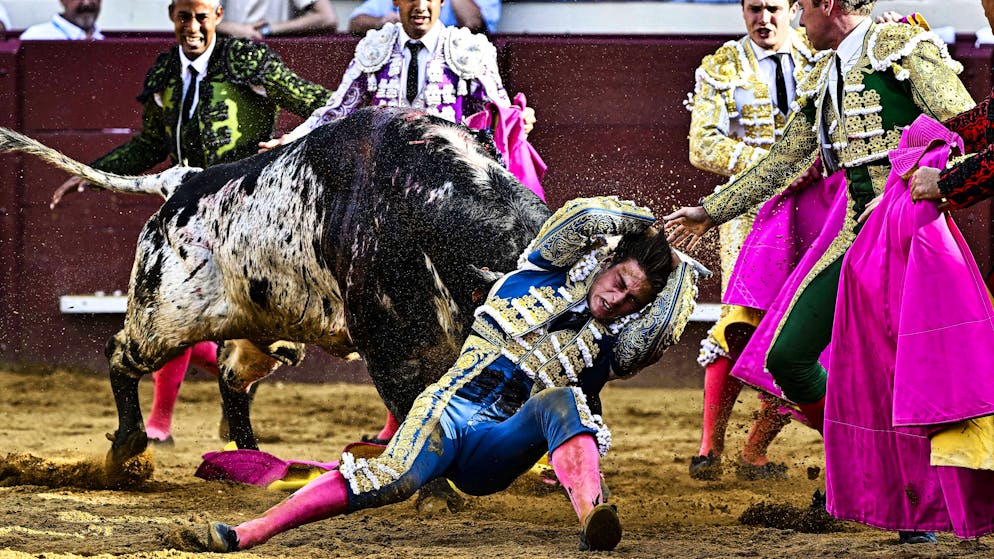 La Colombie rejoint la liste des pays sud-américains qui interdisent la corrida.