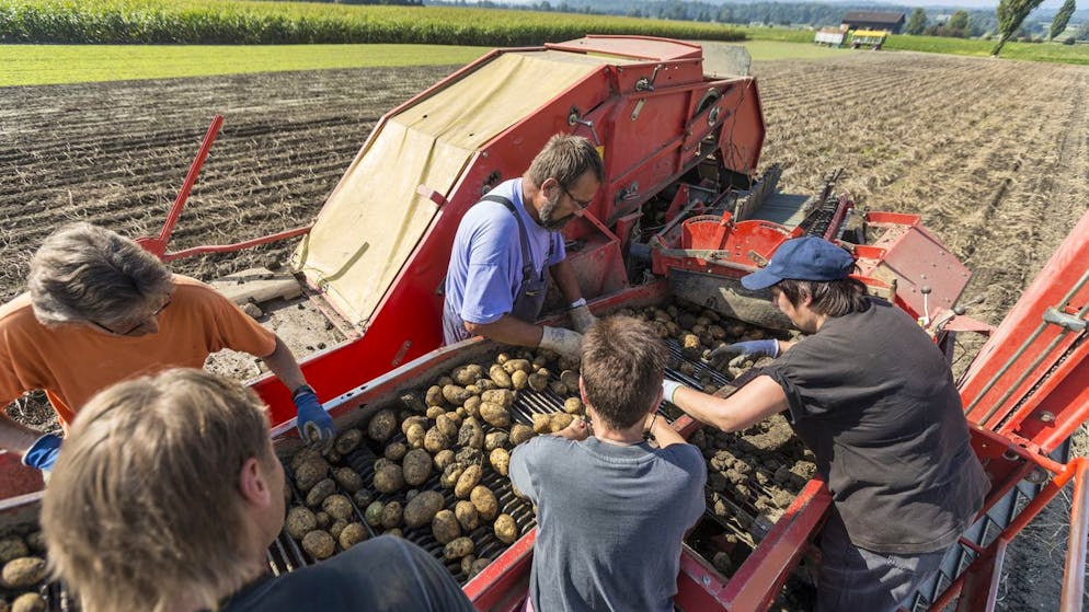 Trouble across the border. Swiss farmers buy farmland from Germans