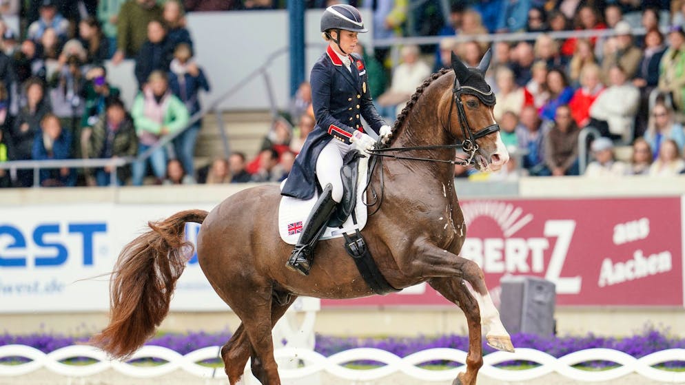 «Rote Linie überschritten». Dressur-Skandal kurz vor Olympia: 24 Schläge auf Pferdebeine