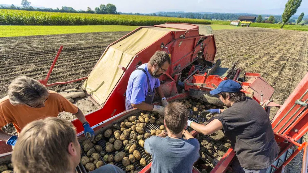 In order for the harvest to be brought into Switzerland duty-free, the fields in Germany must be farmed by a Swiss company from Switzerland.