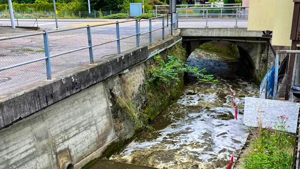 On Wednesday morning, a large quantity of liquid manure flowed into the Bielbach in Ruswil.