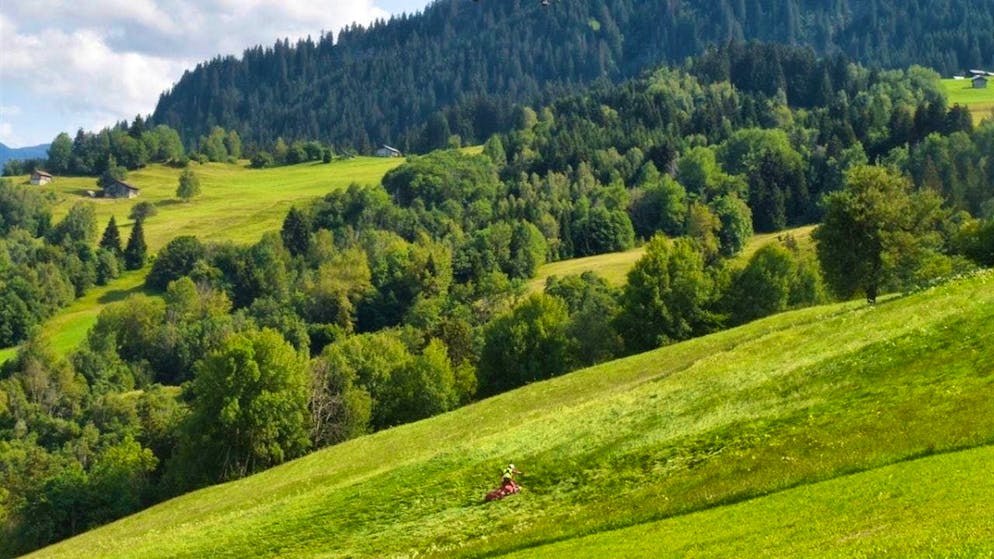 The paraglider pilot who crashed was rescued by a winch operation before being flown to hospital in Chur.