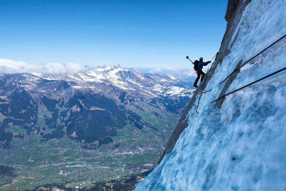 Immagine d'illustrazione