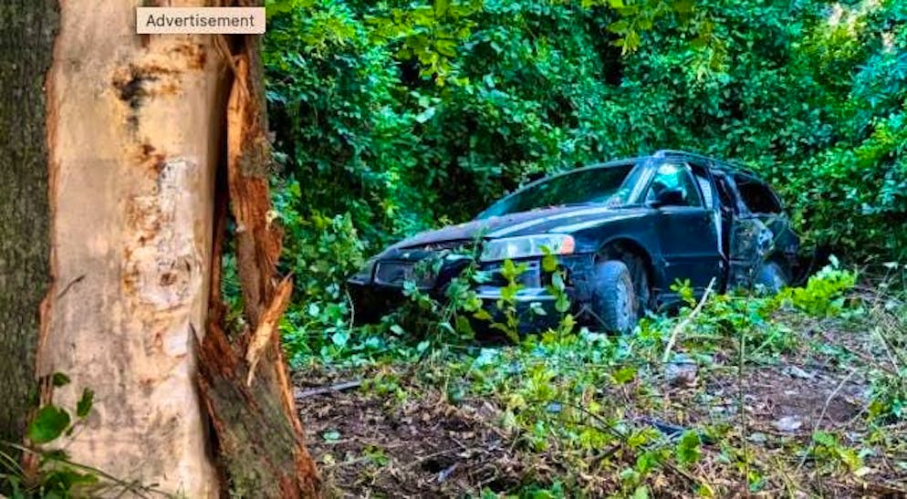 The car involved in the accident ultimately came to a standstill in a forest.
