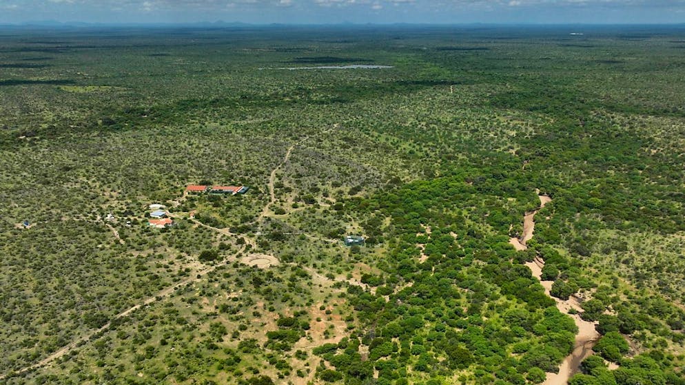La febbre Oropouche ha fatto le prime due vittime nello stato brasiliano di Bahia. (Immagine d'archivio).