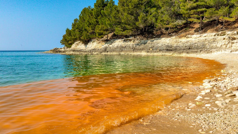 Ferien mit Ekelfaktor. Algenschleim vermiest den Badespass an der Adria
