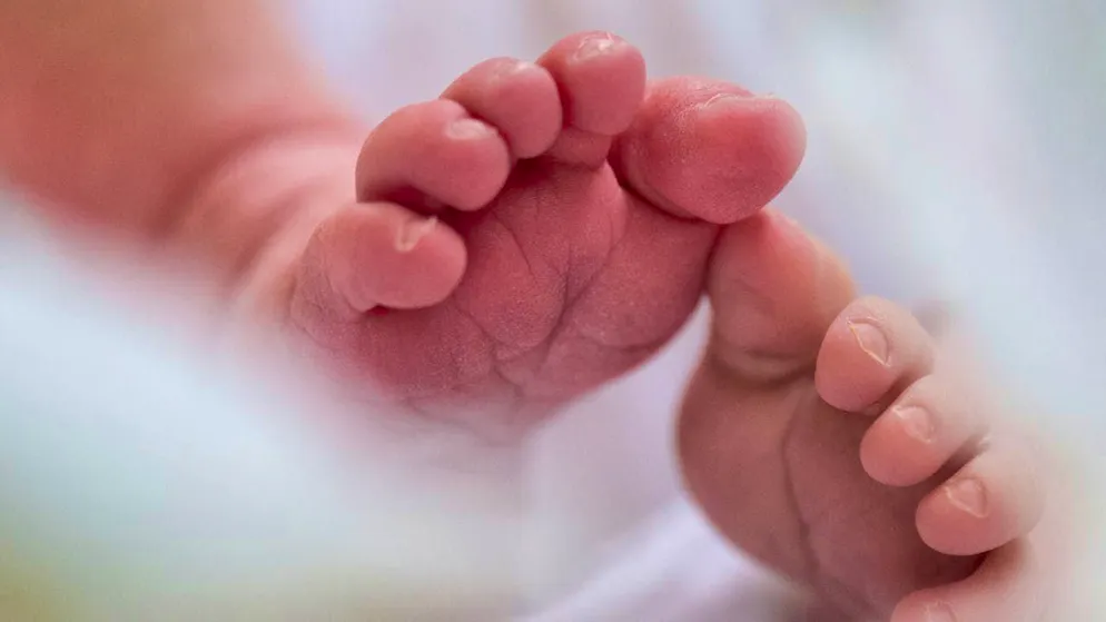 Not supposed to be safe for premature babies: Baby milk from the US pharmaceutical company Abbott. A court has therefore imposed a fine. (archive picture)