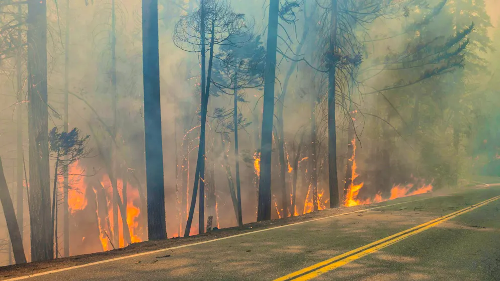 California wildfire destroys dozens of homes - Gallery. In view of climate change, experts warn that fires are becoming more frequent and more destructive.