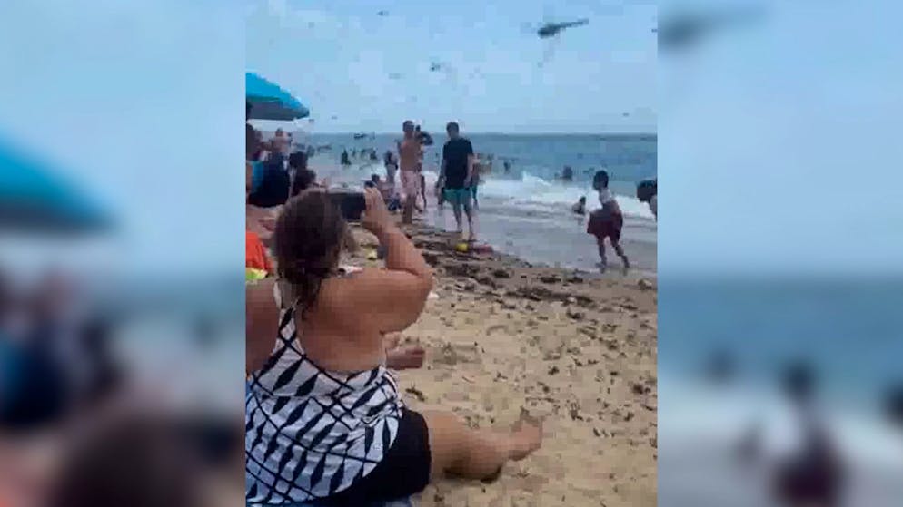 Chaos on the beach. Bathers flee from dragonfly invasion