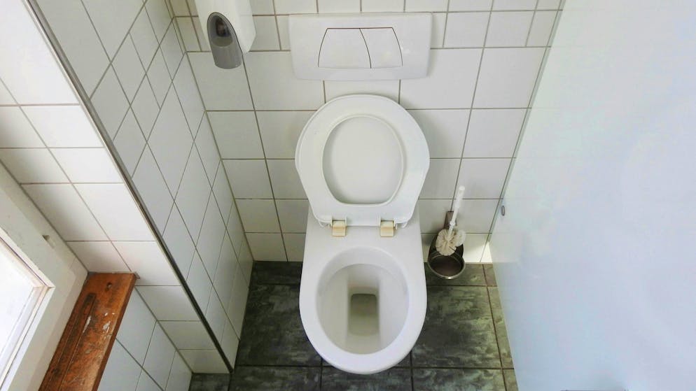 Toilet flushing: Prohibited after 10 pm? (archive picture)