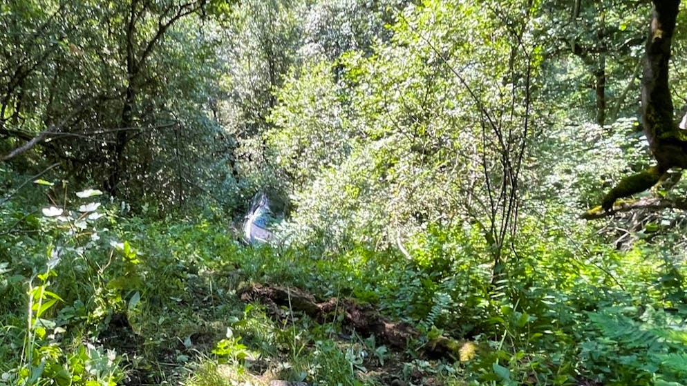 Das Auto des 23-Jährigen blieb nach dem 80-Meter-Sturz im Gebüsch stecken.
