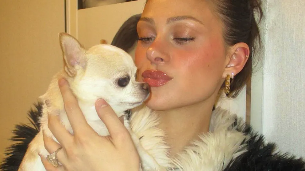 Death of a Chihuahua. Nicola Peltz Beckham sues her dog groomer