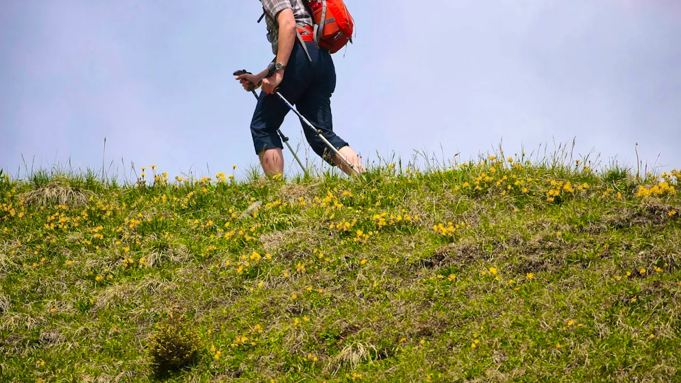 Rock falls on hiker - recovered dead - Gallery. The police did not provide any information on the age or gender of the accident victim. (symbolic photo)