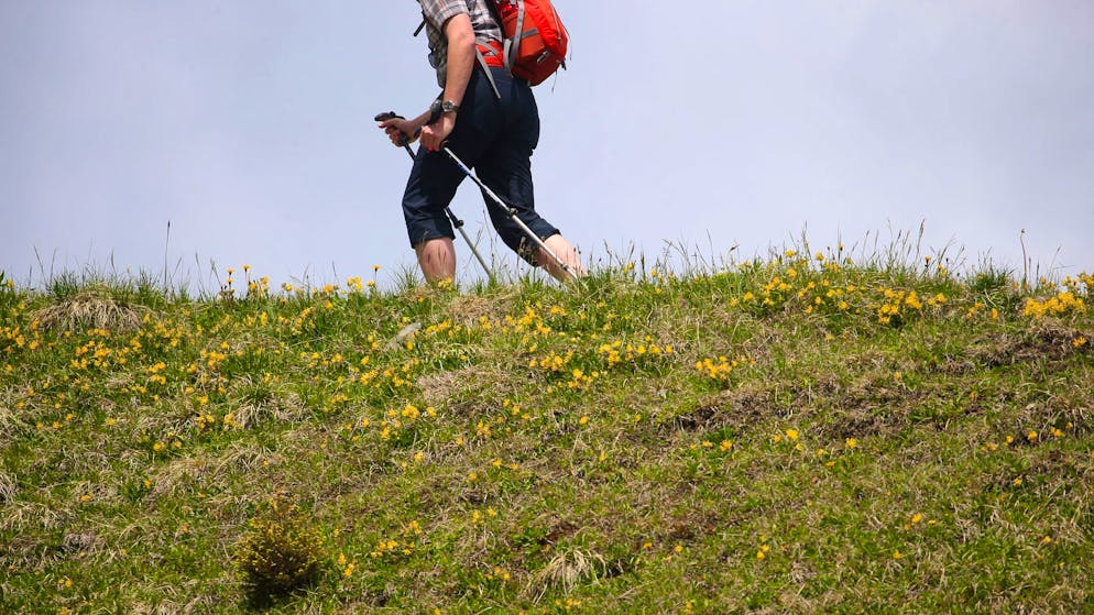 Fels stürzt auf Wanderer – tot geborgen - Gallery. Zu Alter oder Geschlecht des verunglückten Menschen machte die Polizei keine Angaben. (Symbolfoto)